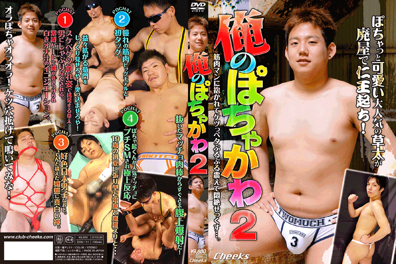俺のぽちゃかわ 2〜秘蜜砦の好男伝（ひみつとりでのすいこでん）〜(DVD)