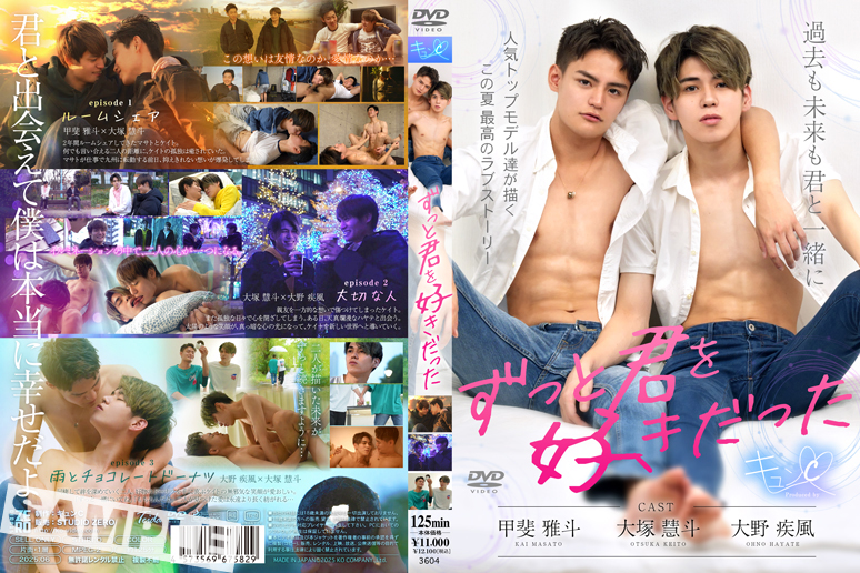 ずっと君を好きだった(DVD)