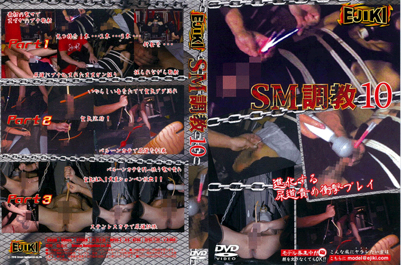 SM調教 10(DVD)